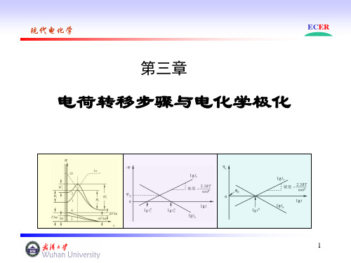 电化学chapter3_电荷转移步骤与电化学极化