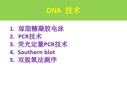 分子生物学-DNA检测技术