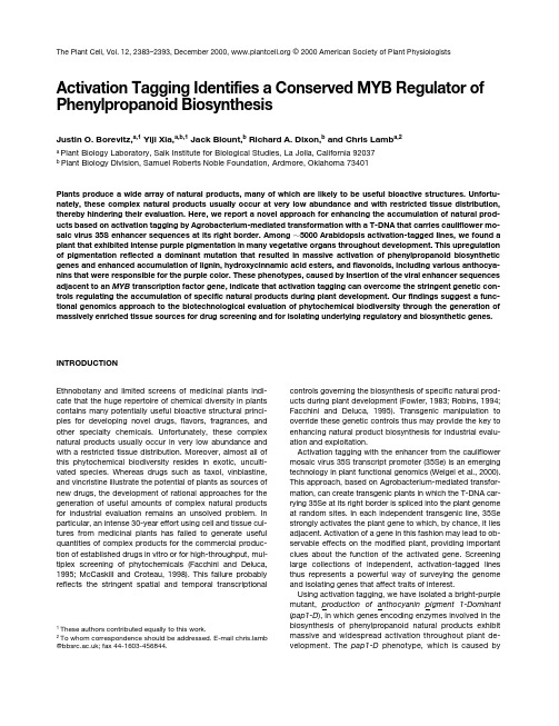 Activation Tagging Identifies a Conserved MYB Regulator of