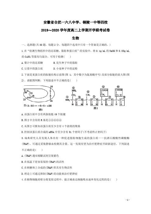 安徽省合肥一六八中学、铜陵一中等四校2019-2020学年高二生物上学期开学联考试题(含答案)