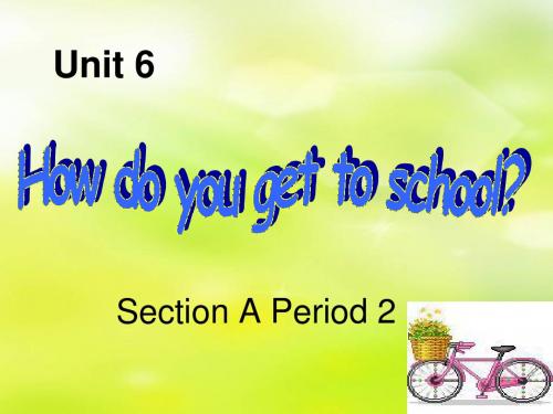 鲁教版七年级上Unit 6 How_do_you_get_to_school-2第二课时