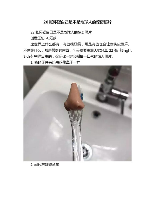 20张怀疑自己是不是地球人的惊奇照片