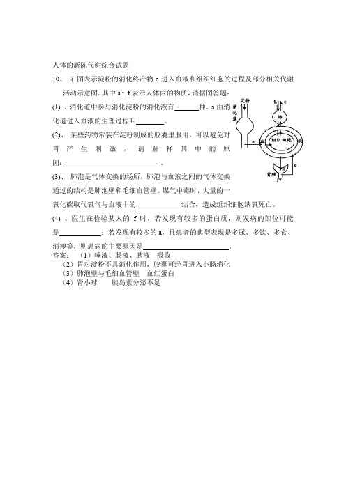 人体的新陈代谢综合试题