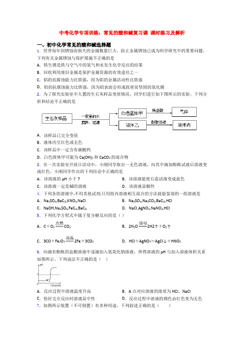 中考化学专项训练：常见的酸和碱复习课 课时练习及解析