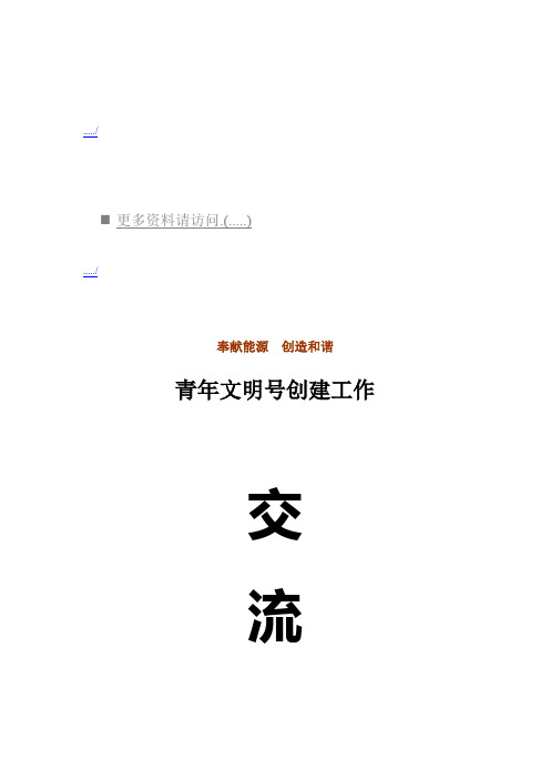 (工作分析)某公司青年文明号创建工作交流材料(doc 11页)