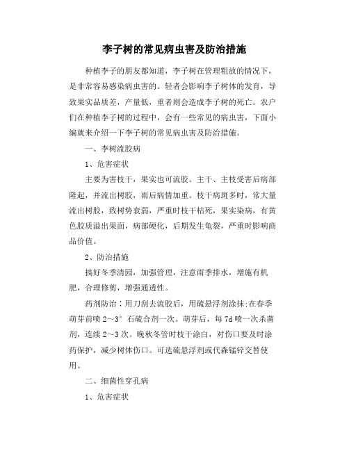 李子树的常见病虫害及防治措施