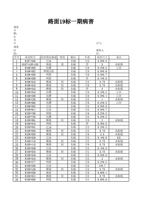 高速公路道路病害统计表