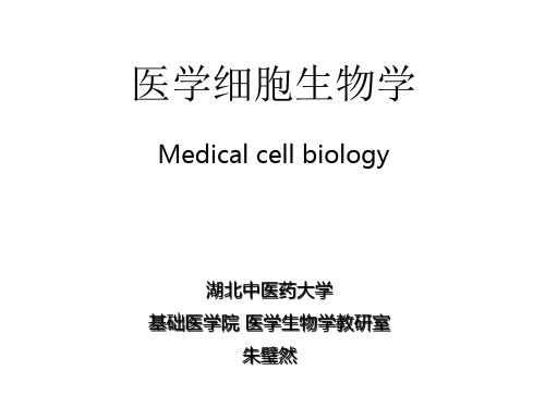 医学细胞生物学-第三章 细胞膜