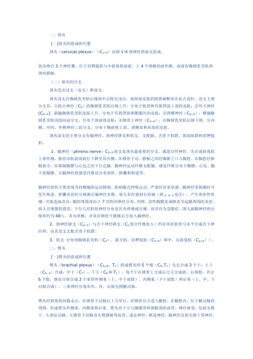 脊神经体表支配与定位诊断.doc