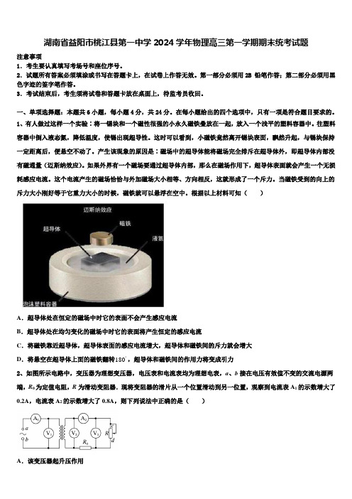 湖南省益阳市桃江县第一中学2024学年物理高三第一学期期末统考试题含解析