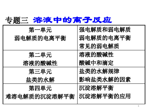 溶液中的离子反应复习课件