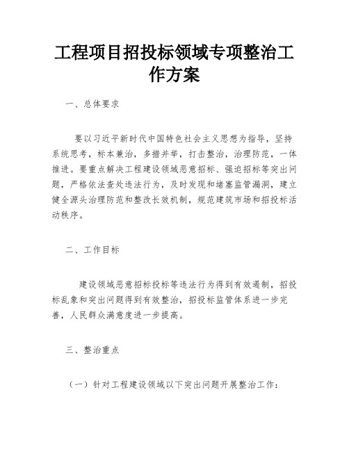 工程项目招投标领域专项整治工作方案