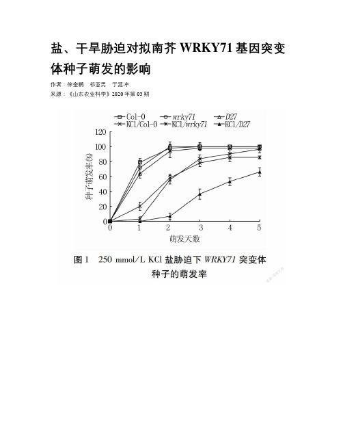 盐、干旱胁迫对拟南芥WRKY71基因突变体种子萌发的影响