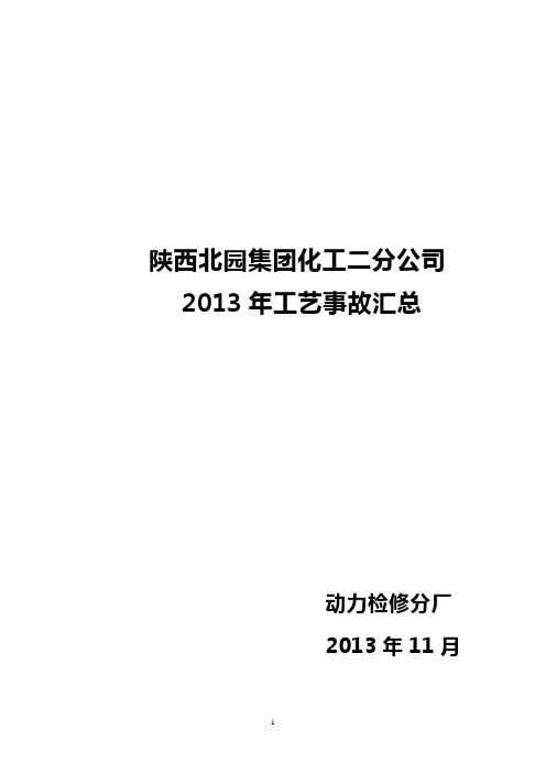 2013年事故汇总