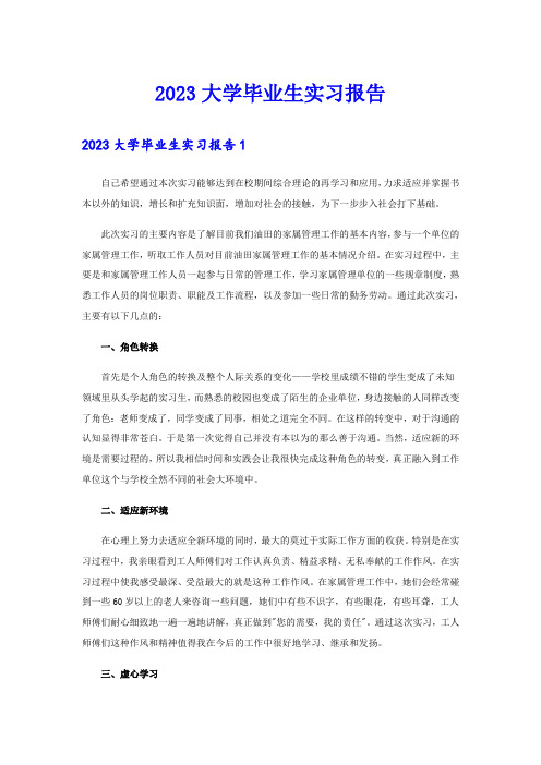 【word版】2023大学毕业生实习报告