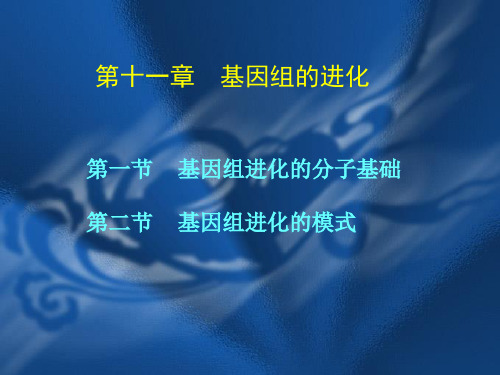 基因组的进化公开课一等奖课件省赛课获奖课件