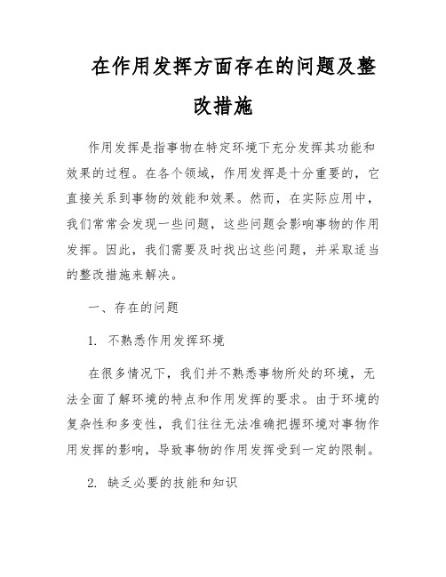 在作用发挥方面存在的问题及整改措施