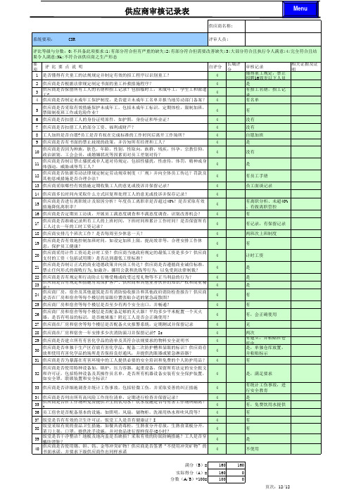 QSA厂商体系审核评分(详细)