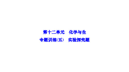 人教版九年级化学下册作业课件 第十二单元 化学与生活 专题训练(五) 实验探究题