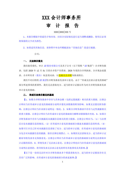 无法表示意见的财务报表审计报告(合并)