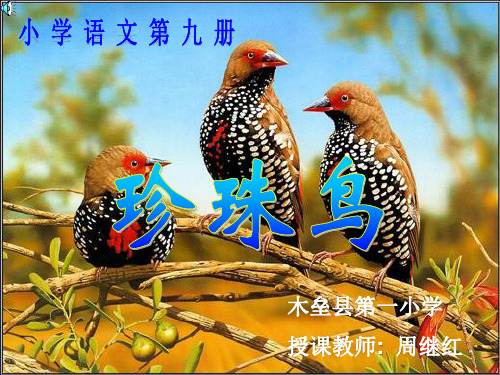 小学语文第九册(10).ppt