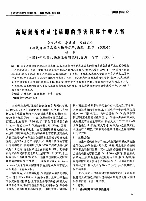 高原鼠兔对藏北草原的危害及共主要天敌