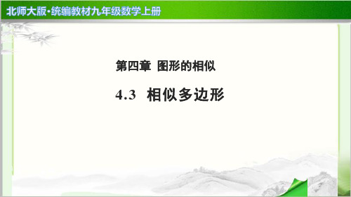 《相似多边形》公开课教学PPT课件【北师大版九年级数学上册】