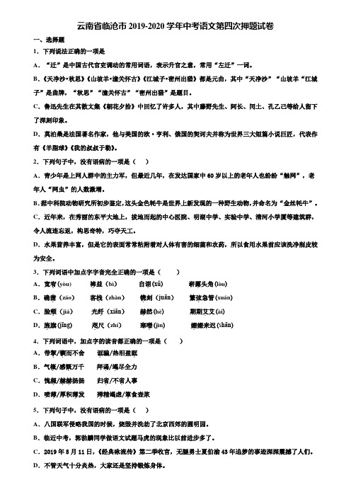云南省临沧市2019-2020学年中考语文第四次押题试卷含解析