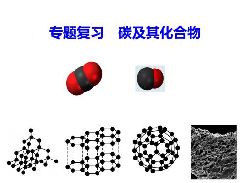 人教版九年级上册化学课件：第六单元 碳及其化合物(共29张PPT)