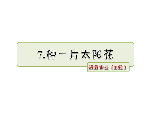 四年级下册语文课件7.种一片太阳花 课后作业(B组)_北师大版 (共13张PPT)