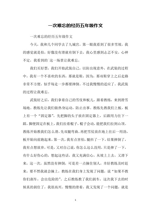 一次难忘的经历五年级作文