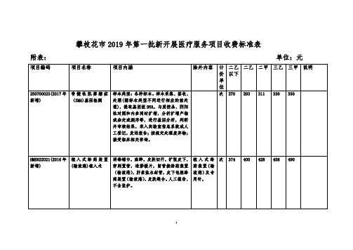 攀枝花市2019年第一批新开展医疗服务项目收费标准表