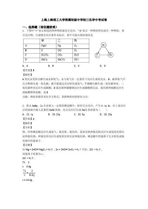 上海上海理工大学附属初级中学初三化学中考试卷