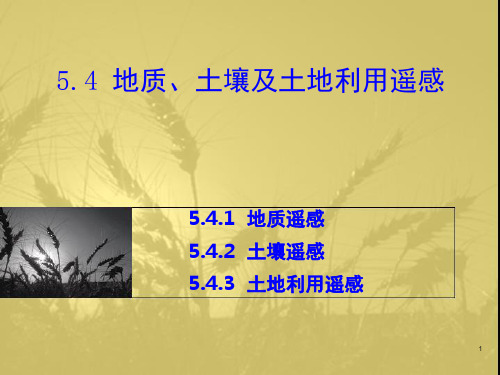 5.4 地质、土壤及土地利用遥感演示课件