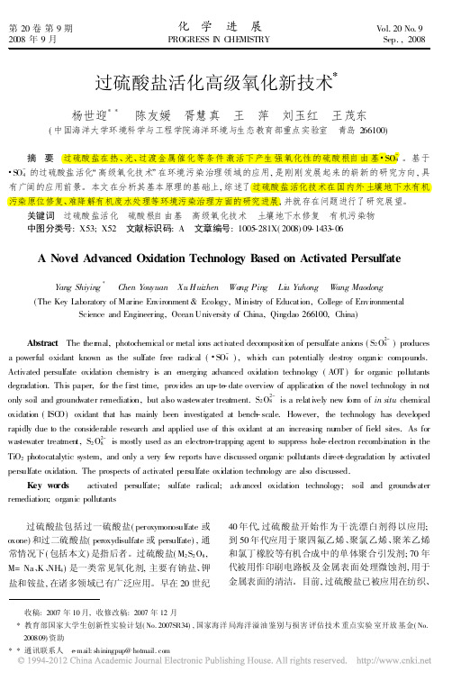 过硫酸盐活化高级氧化新技术_杨世迎