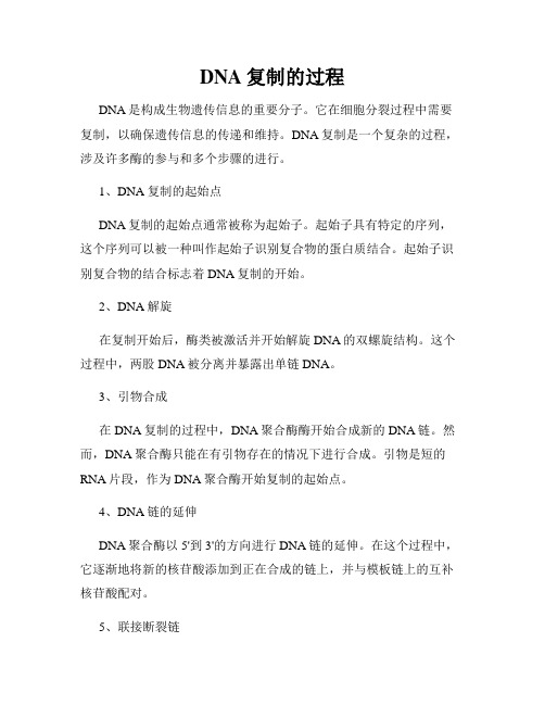 DNA复制的过程