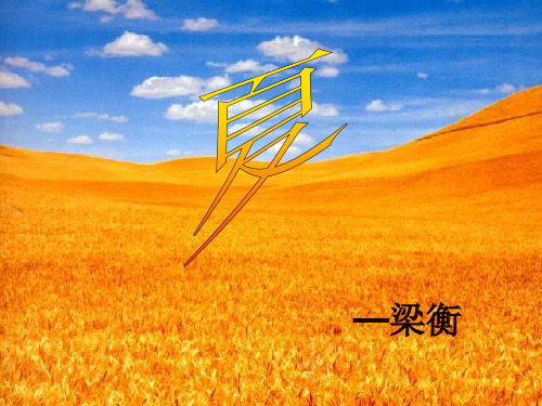 《夏》PPT课件四