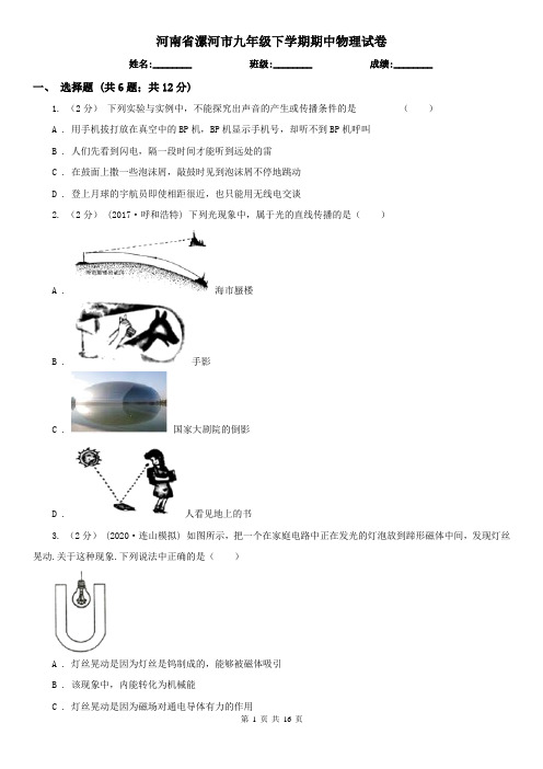 河南省漯河市九年级下学期期中物理试卷