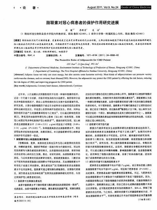 脂联素对冠心病患者的保护作用研究进展