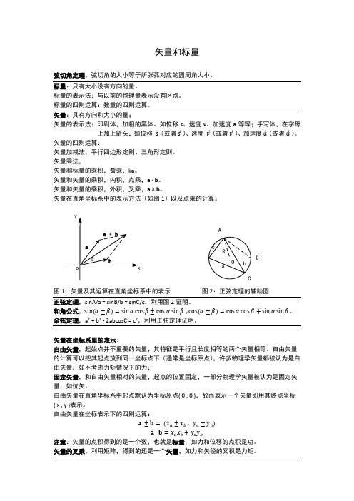 矢量和标量