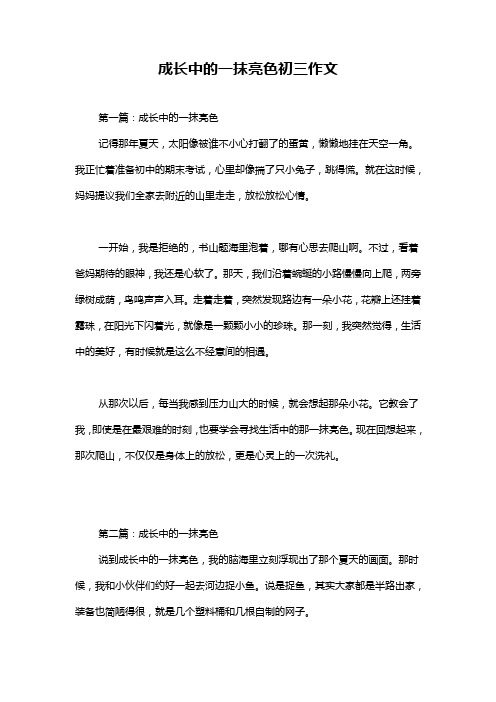 成长中的一抹亮色初三作文