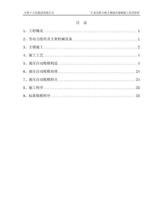 液压爬模施工培训资料