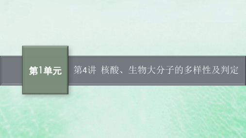 适用于新教材2024版高考生物一轮总复习第1单元细胞的概述细胞的分子组成第4讲核酸生物大分子的多样性