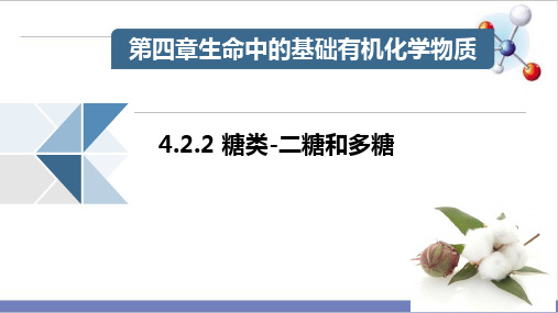 4.二糖和多糖课件人教版高二化学选修5