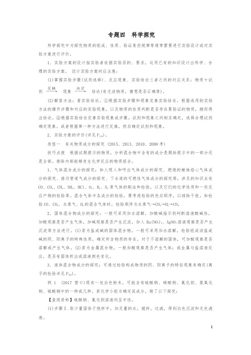 广东省中考化学总复习专题四科学探究练习