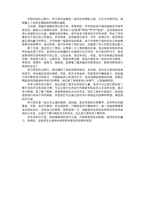 我学习的语言之旅