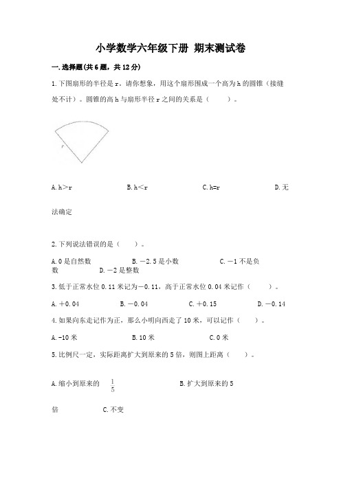 小学数学六年级下册-期末测试卷附答案(模拟题)