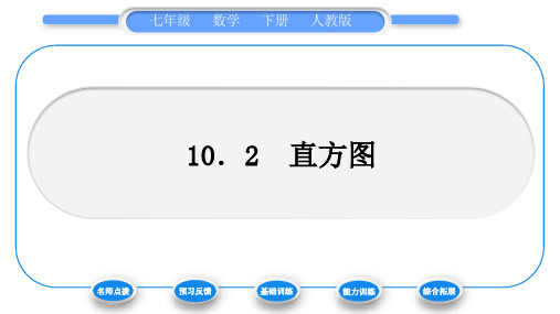 人教版七年级数学下第十章数据的收集、整理与描述10.2 直方图习题课件