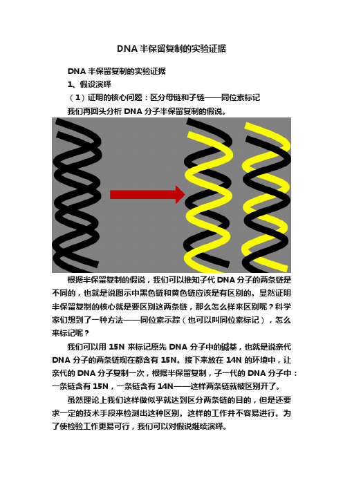 DNA半保留复制的实验证据