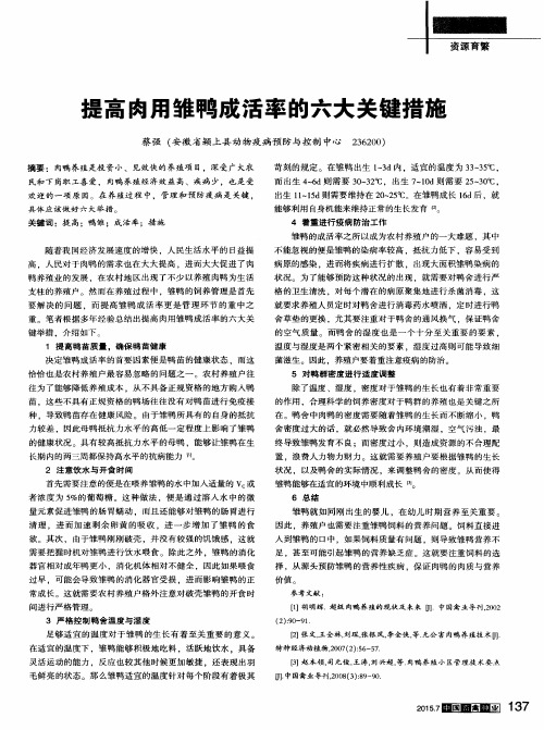 提高肉用雏鸭成活率的六大关键措施